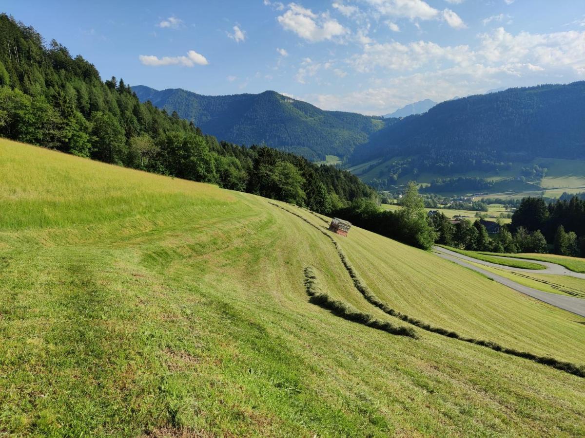 Ferienhaus Englbrecht Krispl Buitenkant foto