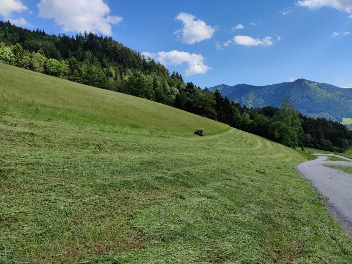 Ferienhaus Englbrecht Krispl Buitenkant foto